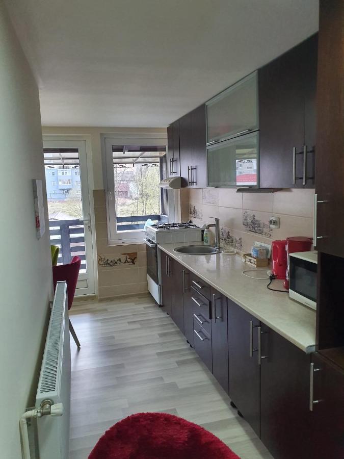 Villa Coca Campulung Moldovenesc Bagian luar foto