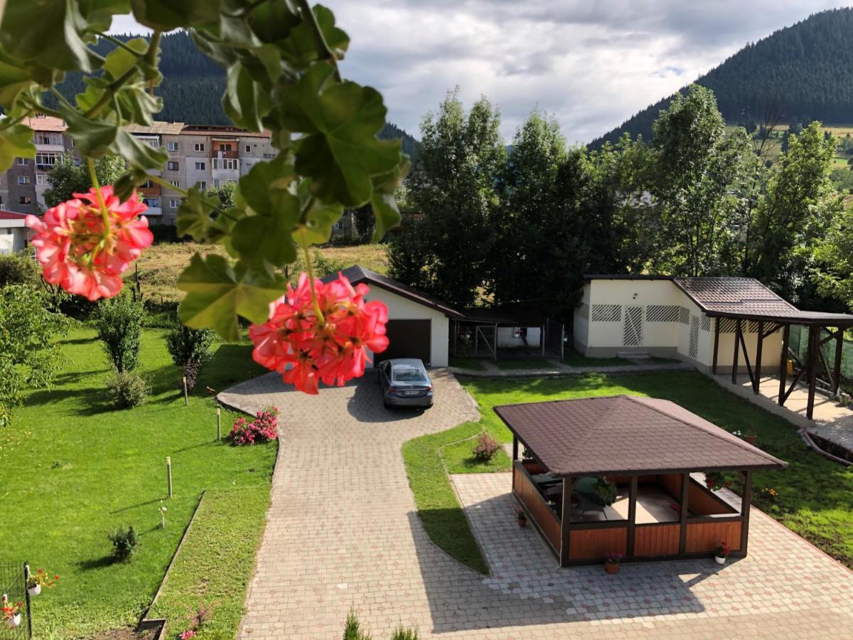 Villa Coca Campulung Moldovenesc Bagian luar foto