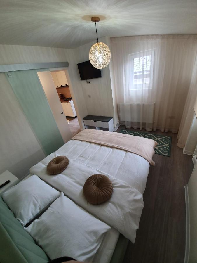 Villa Coca Campulung Moldovenesc Bagian luar foto